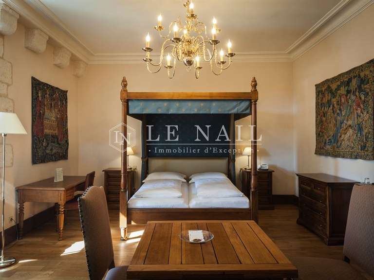 Castle Argenton-sur-Creuse - 22 bedrooms - 1750m²