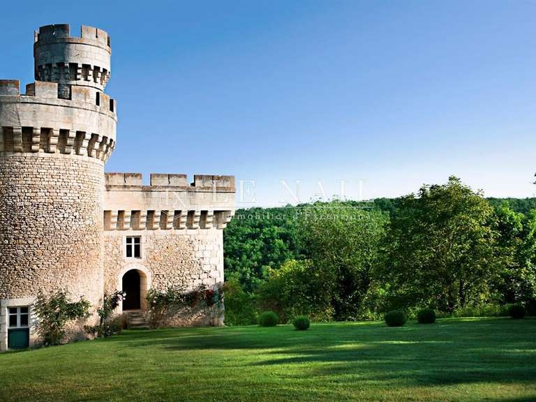 Castle Argenton-sur-Creuse - 22 bedrooms - 1750m²