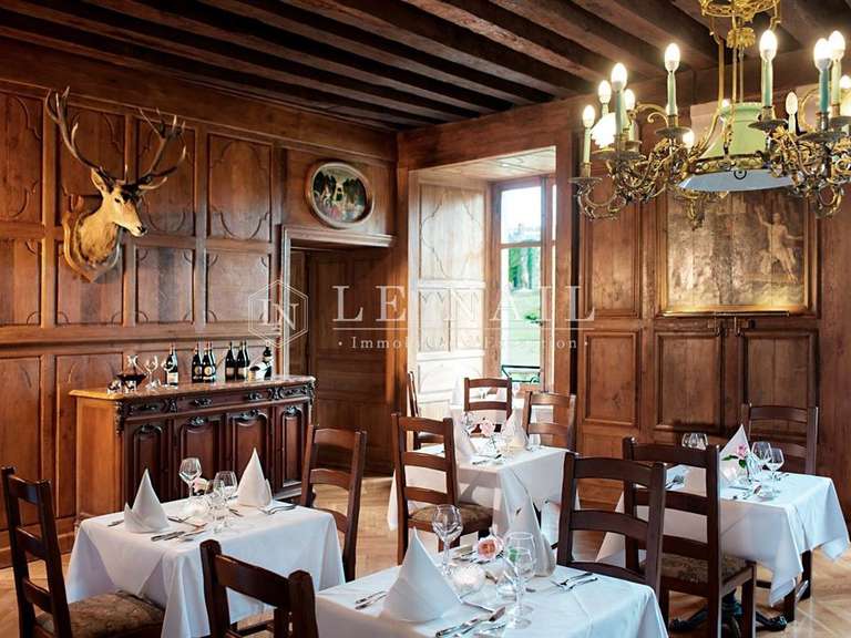 Castle Argenton-sur-Creuse - 22 bedrooms - 1750m²