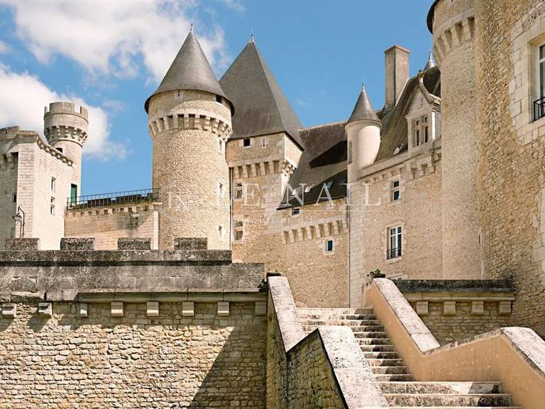 Castle Argenton-sur-Creuse - 22 bedrooms - 1750m²