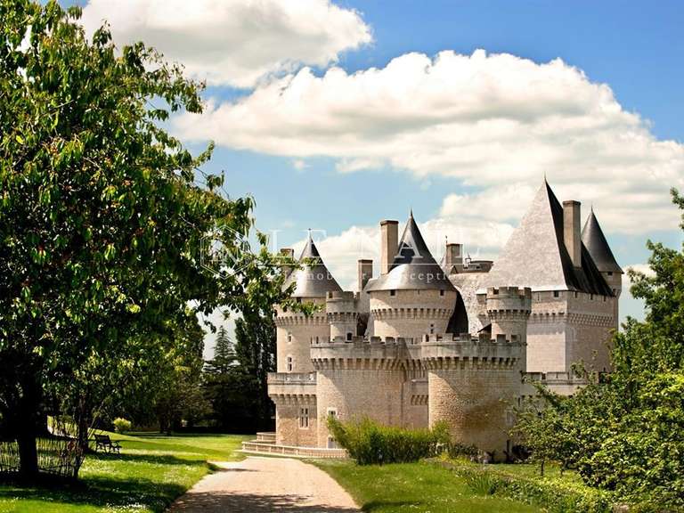 Castle Argenton-sur-Creuse - 22 bedrooms - 1750m²