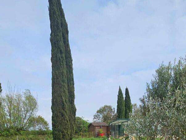 House Arles