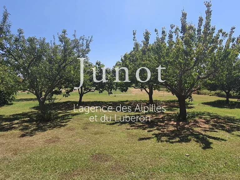 Maison Arles - 4 chambres - 300m²