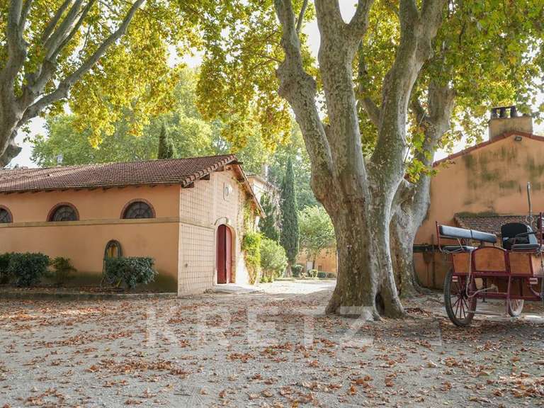 House Arles - 6 bedrooms - 870m²