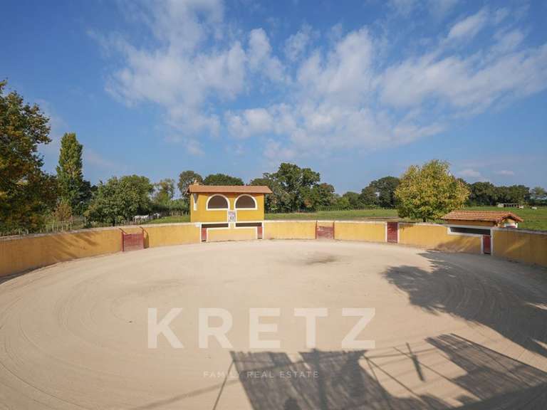 House Arles - 6 bedrooms - 870m²