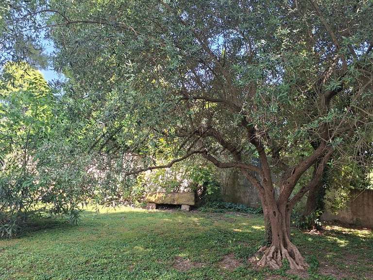 Property Arles - 9 bedrooms - 600m²