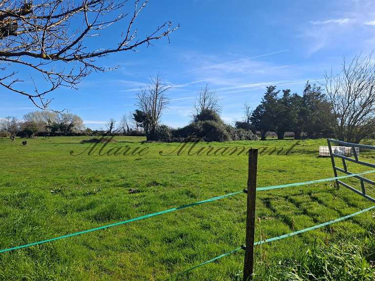 Property Arles - 9 bedrooms - 600m²