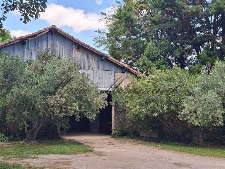 Property Arles - 9 bedrooms - 600m²