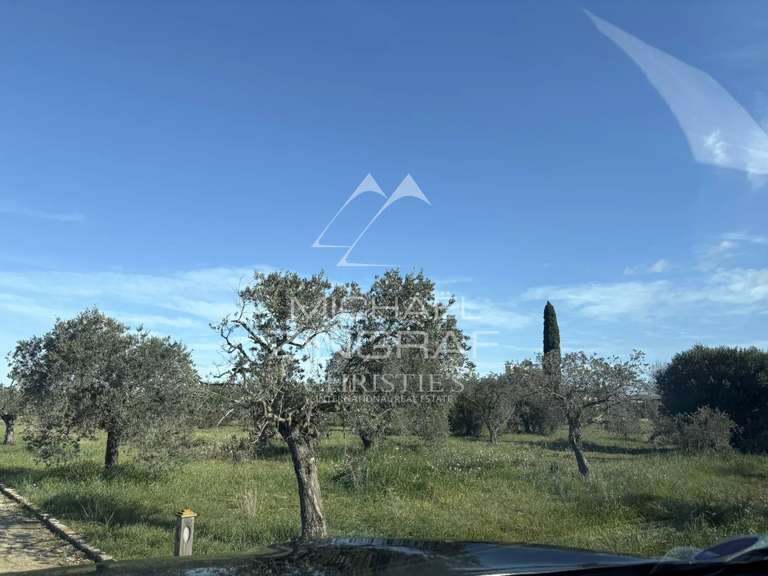 Propriété Arles - 6 chambres - 323m²