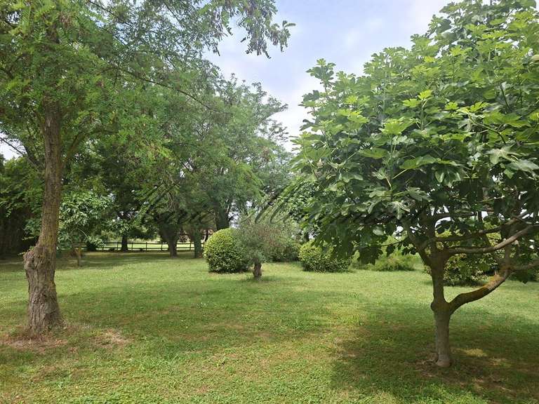 Propriété Arles - 6 chambres - 450m²