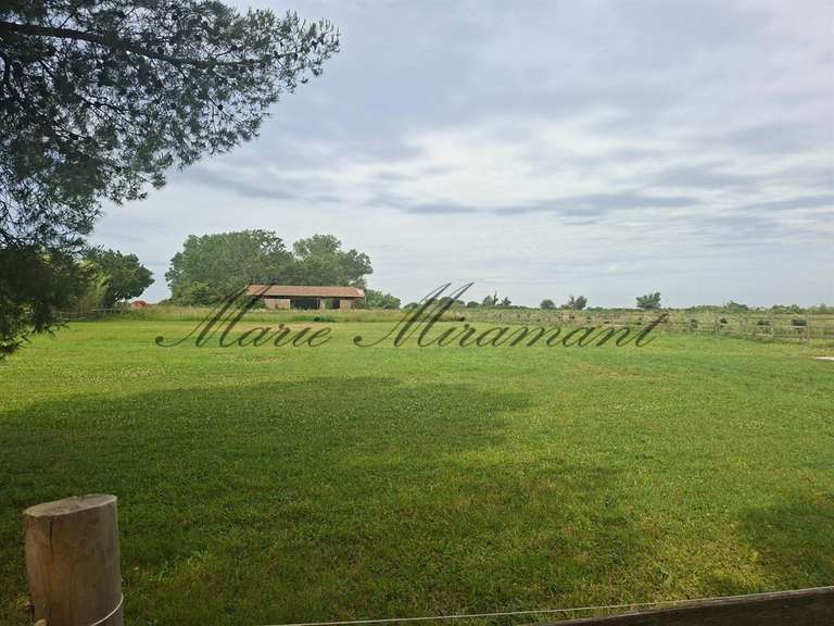 Propriété Arles - 6 chambres - 450m²