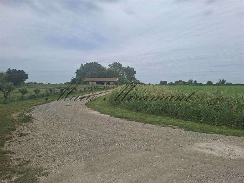 Propriété Arles