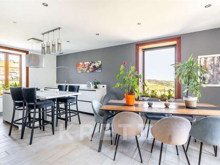 House Arnas - 9 bedrooms - 580m²