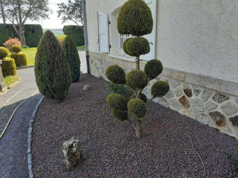 Maison Arpajon-sur-Cère - 5 chambres - 300m²