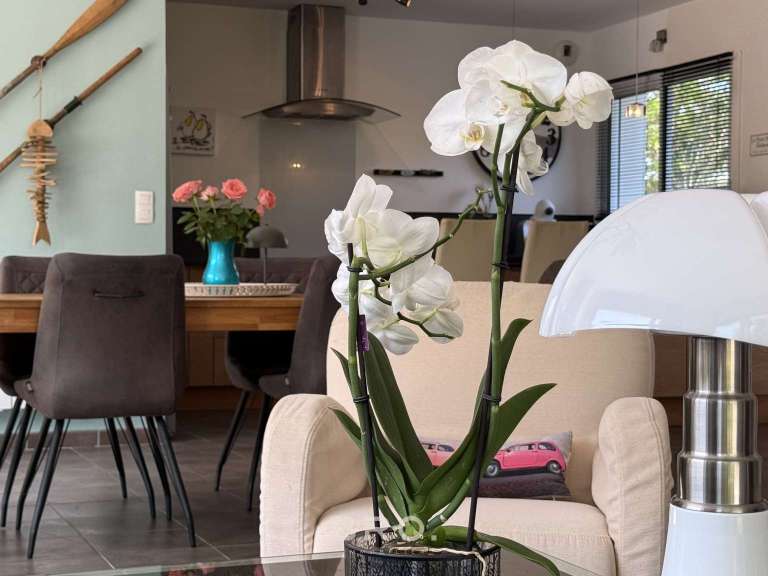 House Arradon - 5 bedrooms