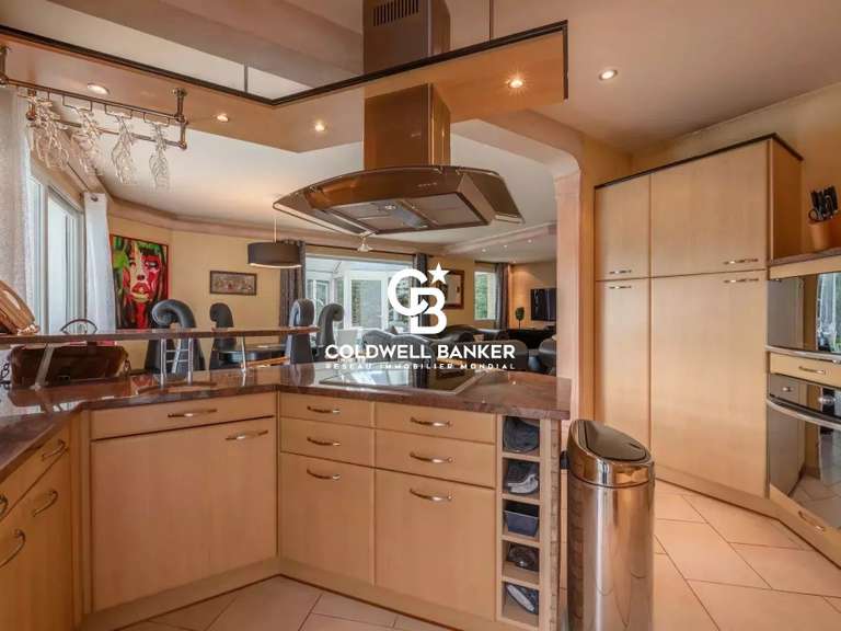 Maison Arthaz-Pont-Notre-Dame - 4 chambres - 285m²