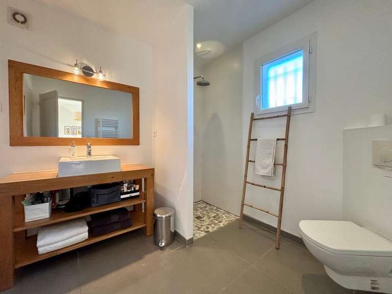 House Artiguelouve - 5 bedrooms - 228m²