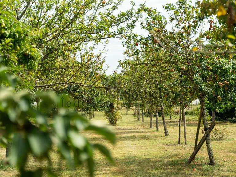 Maison Arvert - 4 chambres - 217m²