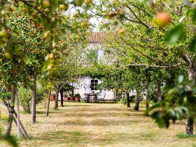 House Arvert - 4 bedrooms - 217m²