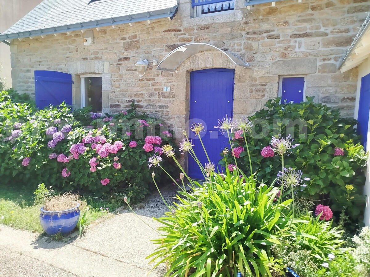 Villa Arzon