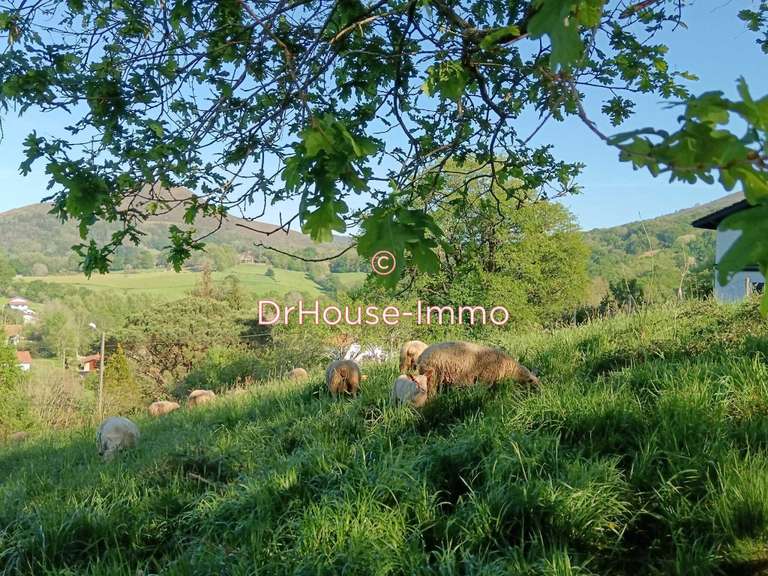 Villa Ascain - 7 chambres - 208m²