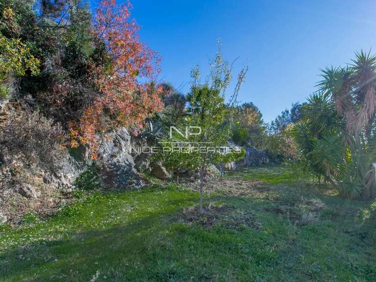 House Aspremont - 5 bedrooms - 256m²