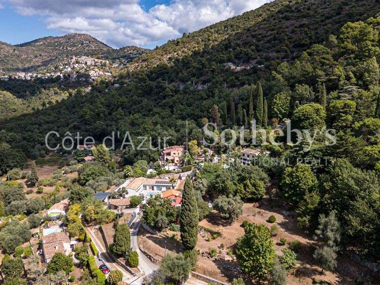 Terrain Aspremont - 11969m²