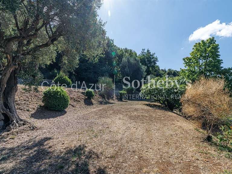Terrain Aspremont - 11969m²