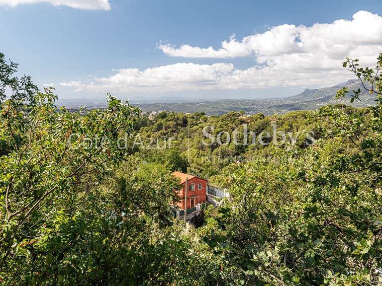 Terrain Aspremont - 11969m²
