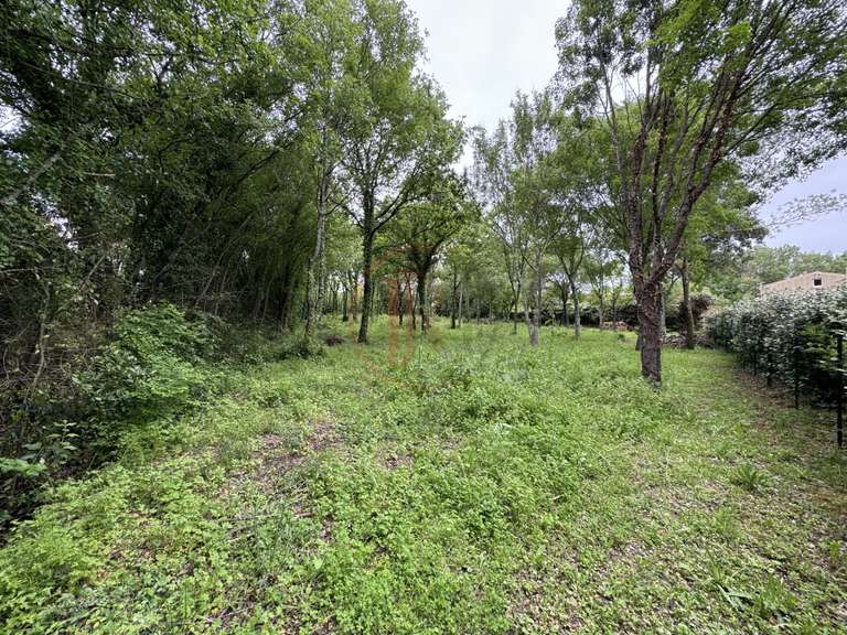 Maison Assas - 2809m²