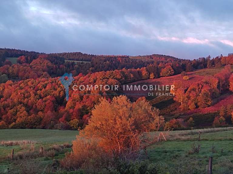 Maison Aubenas - 6 chambres - 400m²