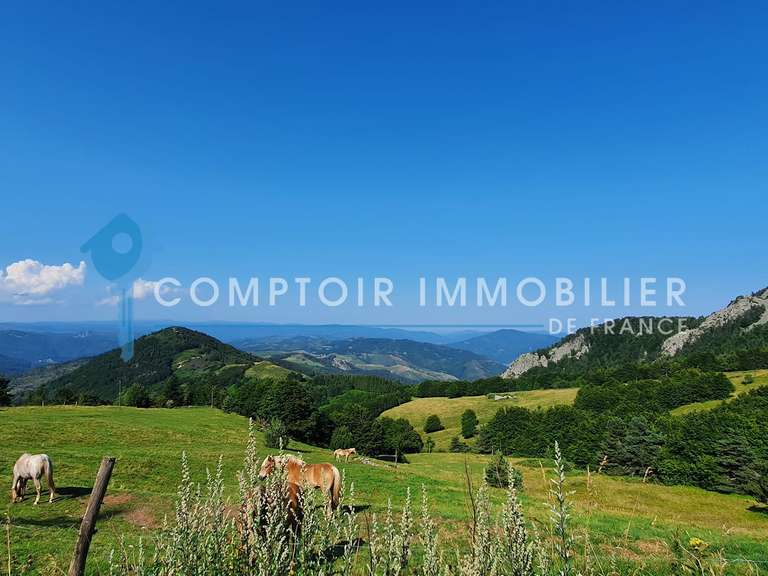 Maison Aubenas - 6 chambres - 400m²