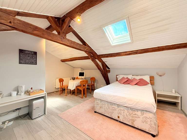 Maison Aubeterre-sur-Dronne - 4 chambres - 251m²