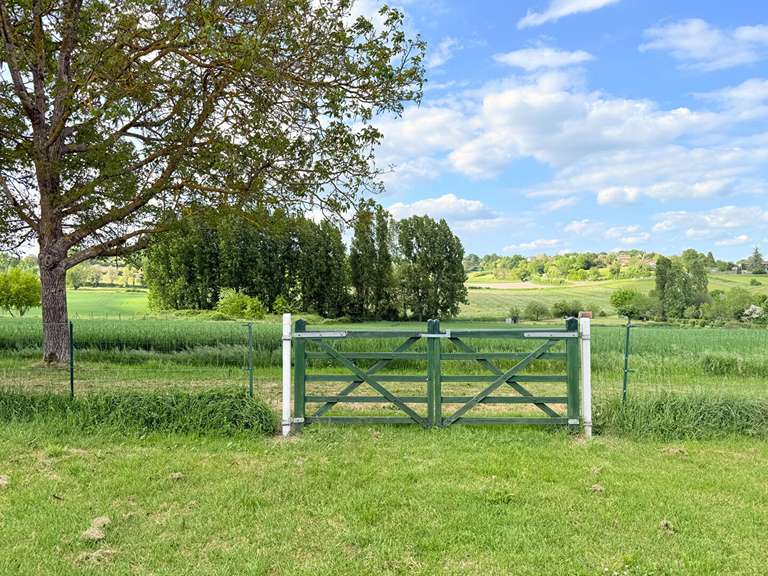 Maison Aubeterre-sur-Dronne - 4 chambres - 251m²
