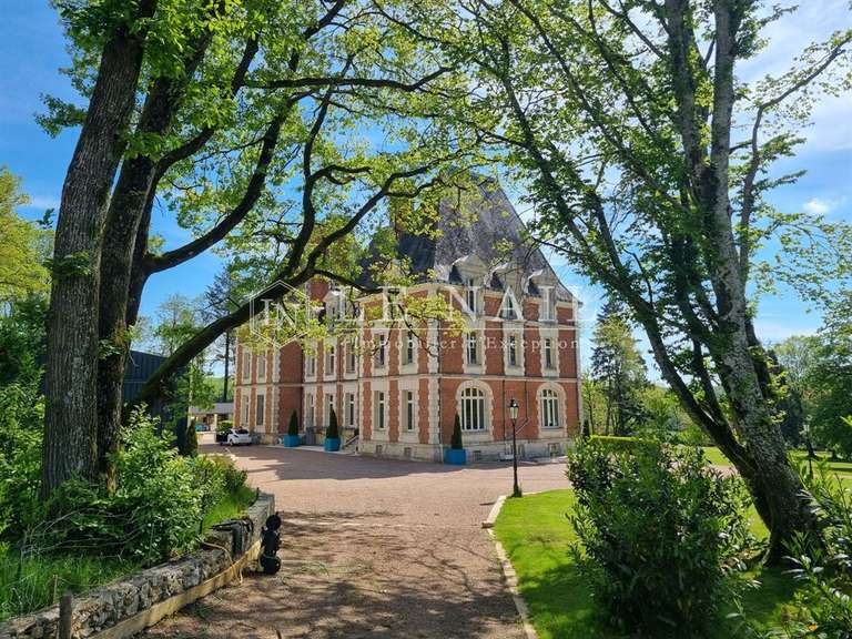 Château Aubigny-sur-Nère - 900m²