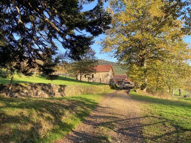 Maison Augerolles - 300m²