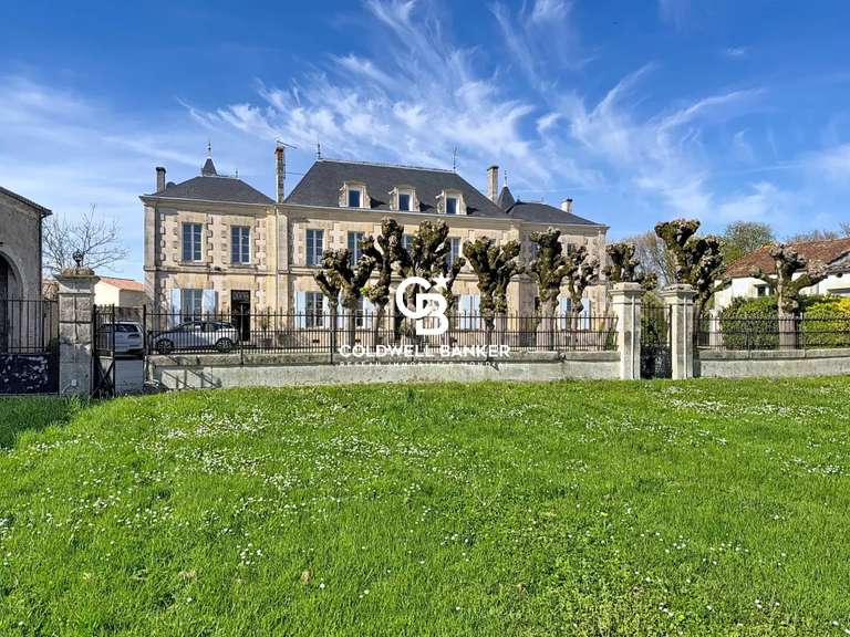 Château Aumagne - 7 chambres - 1000m²