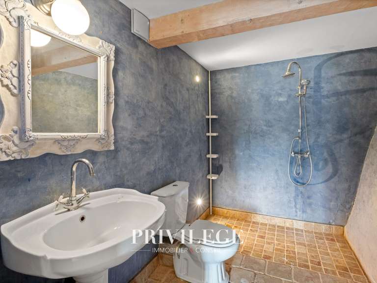 House Aups - 10 bedrooms - 400m²