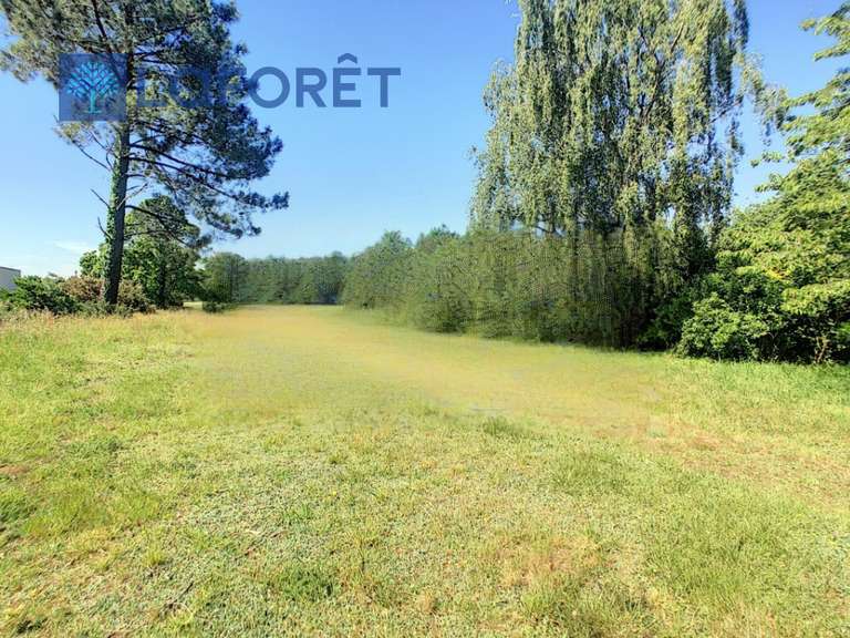 Maison Auray - 3 chambres - 95m²