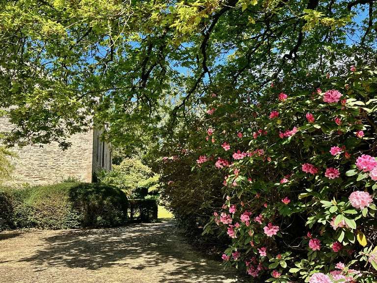 Manoir Auray - 8 chambres - 1172117m²