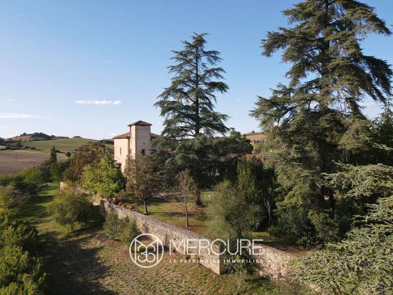 Château Aurignac - 6 chambres - 500m²