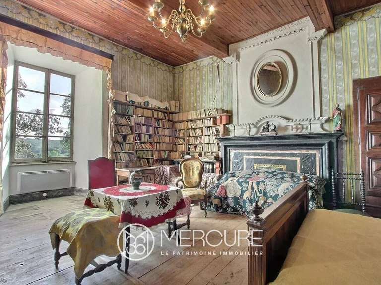 Château Aurignac - 6 chambres - 500m²