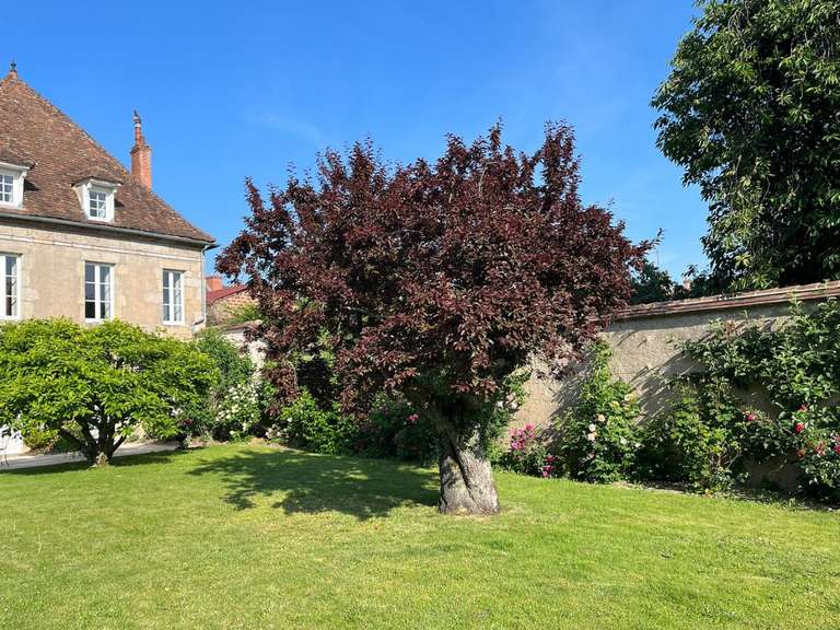 Hôtel particulier Autun - 7 chambres - 420m²