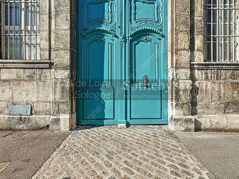 Hôtel particulier Auxerre - 12 chambres - 1200m²