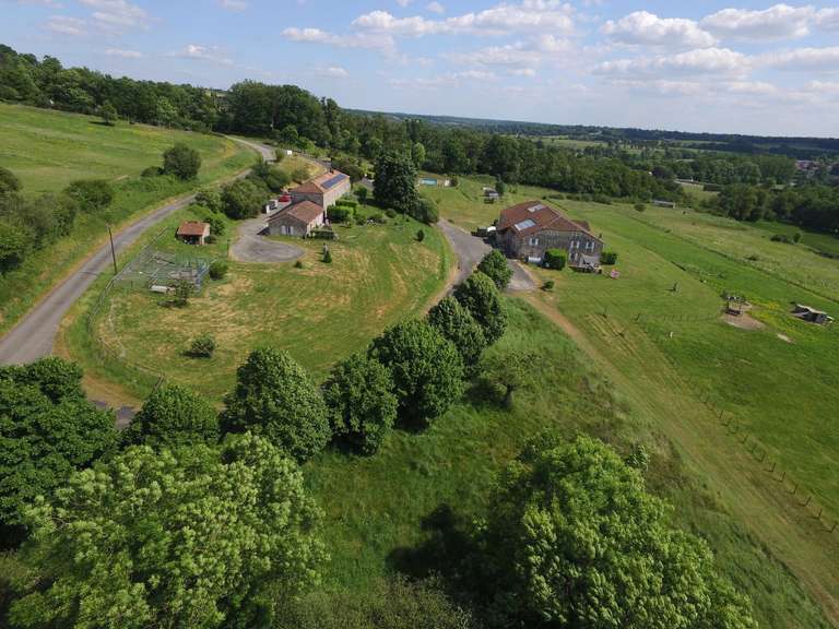 Maison Availles-Limouzine - 26 chambres - 1270m²