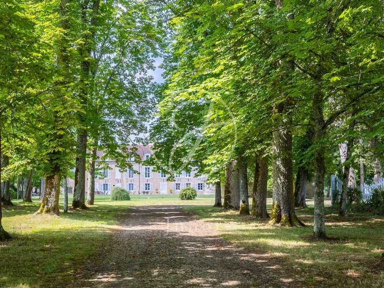 Castle Avallon - 25 bedrooms - 1700m²