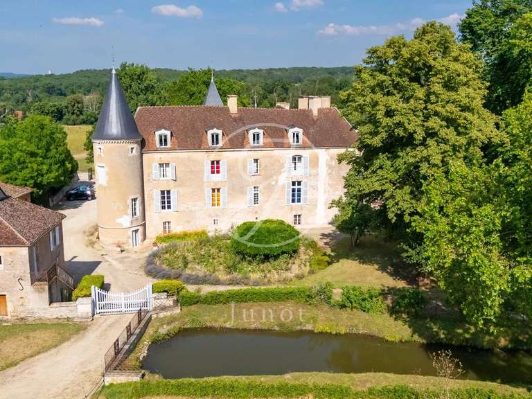 Castle Avallon - 25 bedrooms - 1700m²