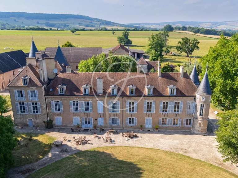 Castle Avallon - 25 bedrooms - 1700m²