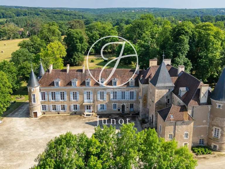 Château Avallon - 25 chambres - 1700m²