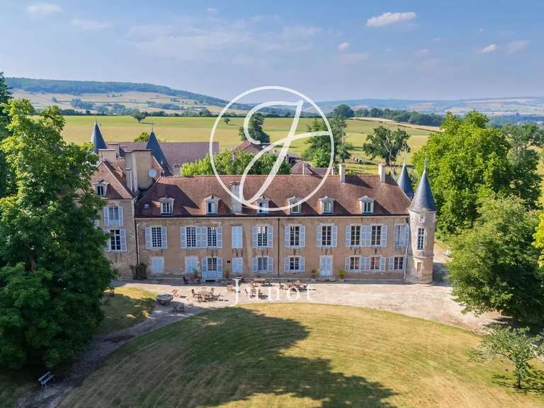 Château Avallon - 25 chambres - 1700m²
